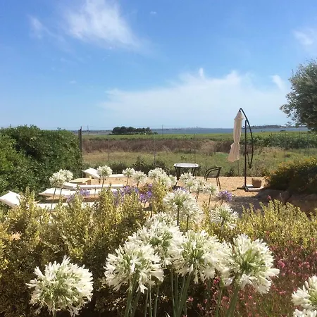 B D L Open Space Marsala